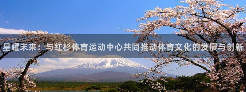 必一运动app