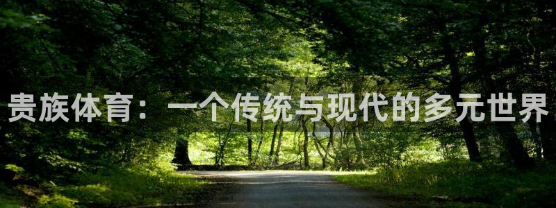 b体育必一运动官网