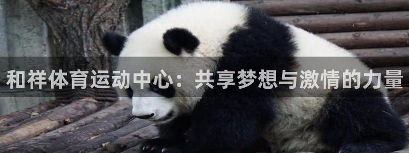 必一运动体育官网：和祥体育运动中心：共享梦想与激情的力量