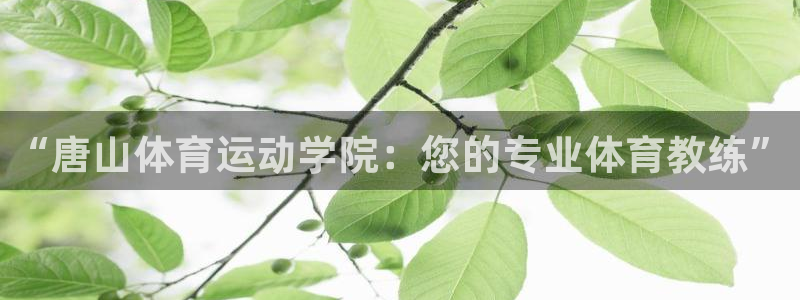 必一运动官网入口：“唐山体育运动学院：您的专业体育教练”