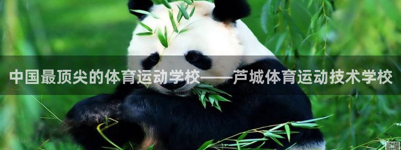 必一运动体育官网：中国最顶尖的体育运动学校——芦城体育运动技术学校