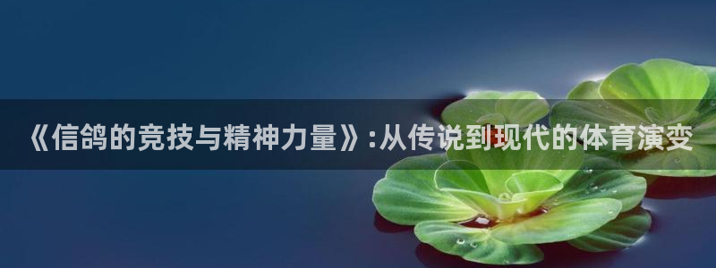 必一运动app：《信鸽的竞技与精神力量》:从传说到现代的体育演变