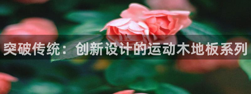 bsports官网 必一运动：突破传统：创新设计的运动木地板系列