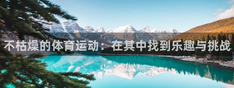 必一运动体育：不枯燥的体育运动：在其中找到乐趣与挑战
