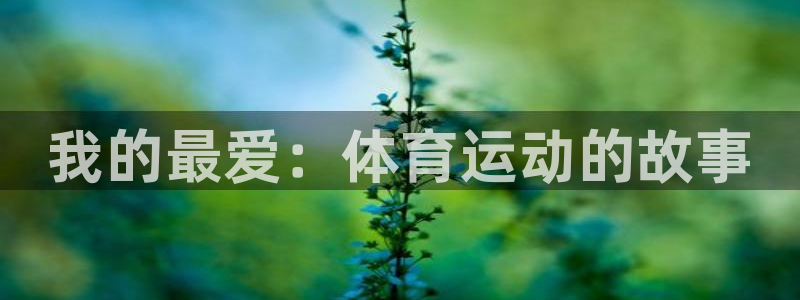 必一运动体育：我的最爱：体育运动的故事