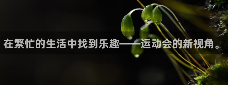 bsports必一运动：在繁忙的生活中找到乐趣——运动会的新视角。