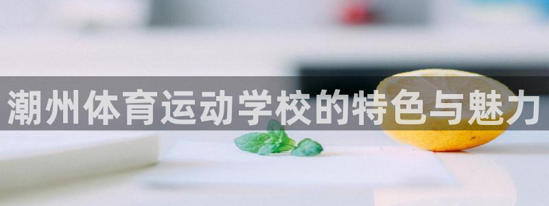 必一运动官网：潮州体育运动学校的特色与魅力