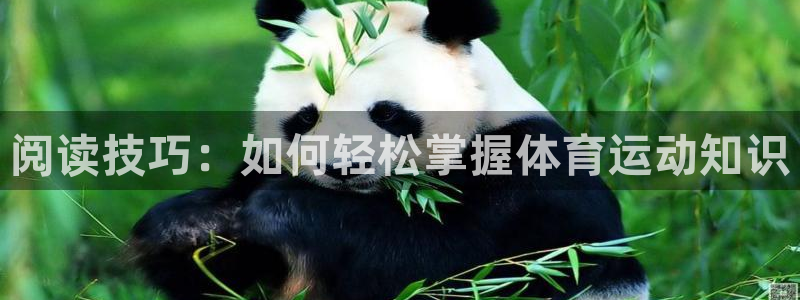 必一运动：阅读技巧：如何轻松掌握体育运动知识