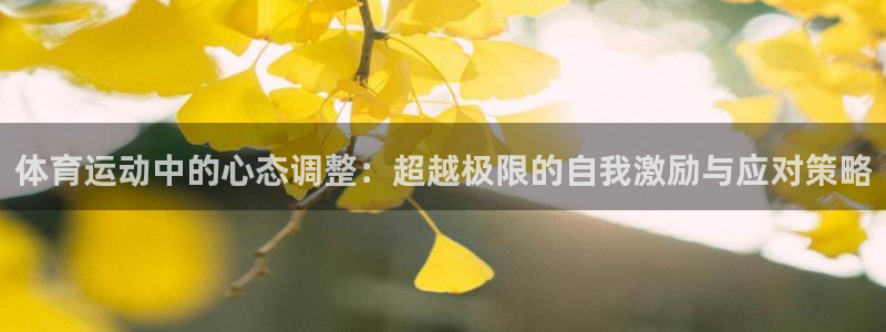 bsport必一运动：体育运动中的心态调整：超越极限的自我激励与应对策略