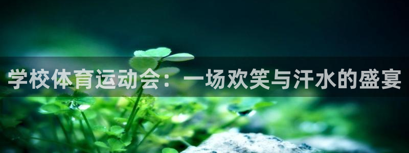 必一运动体育：学校体育运动会：一场欢笑与汗水的盛宴