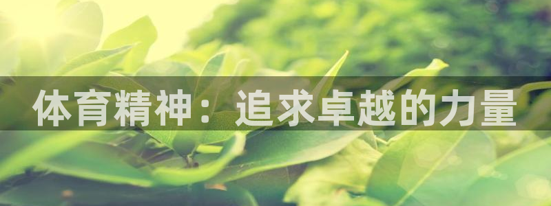 必一运动：体育精神：追求卓越的力量